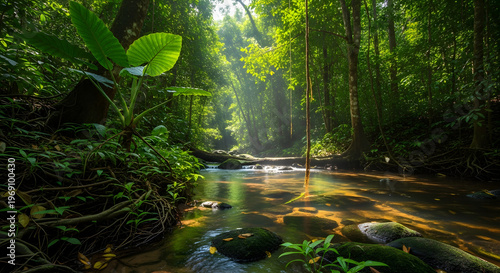 Serene Tropical Rainforest River with Lush Greenery and Sunlight