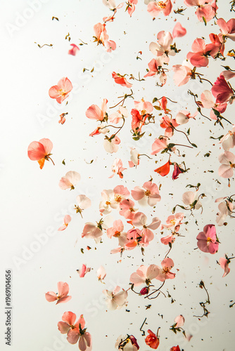 Ethereal Cascade of Delicate Pink and Peach Flower Petals