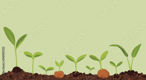 A row of various green seedlings emerges from dark brown soil in this minimalist vector illustration representing nature and growth.