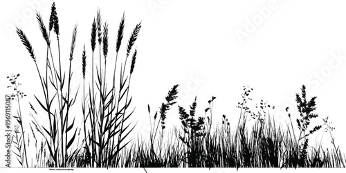 A delicate cluster of wildflowers growing among tall grass in a natural setting