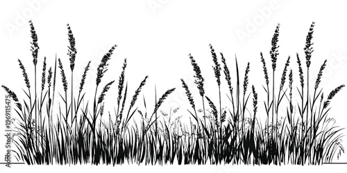 Detailed illustration of a field of tall, wispy grasses swaying gently
