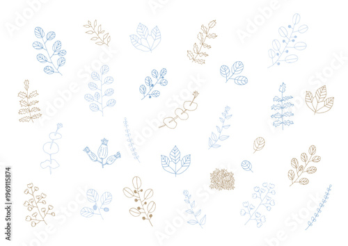 シンプルな植物の手描きイラスト（青・茶色）