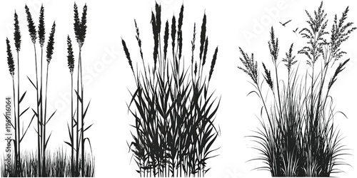 Close-up of delicate, intricate black ink brush stroke patterns on paper