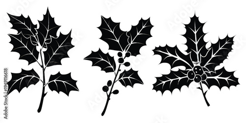 Three maple leaves in varying shades of green against a plain background