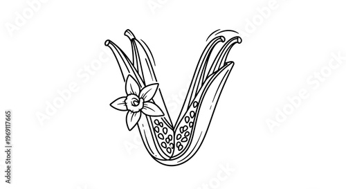 Detailed hand-drawn line art illustration of vanilla pods with an elegant flower arranged to form