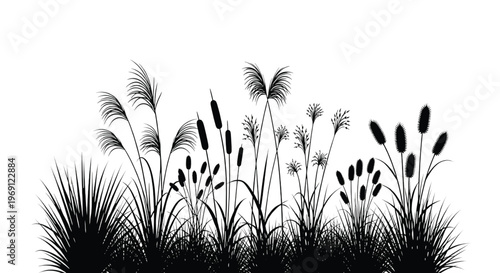 Silhouette of tall grasses swaying in the wind against a plain background
