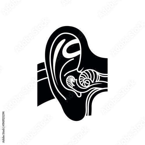 Human ear anatomy diagram medical illustration.