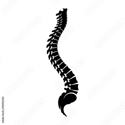 Human Spine Anatomy Silhouette Illustration.