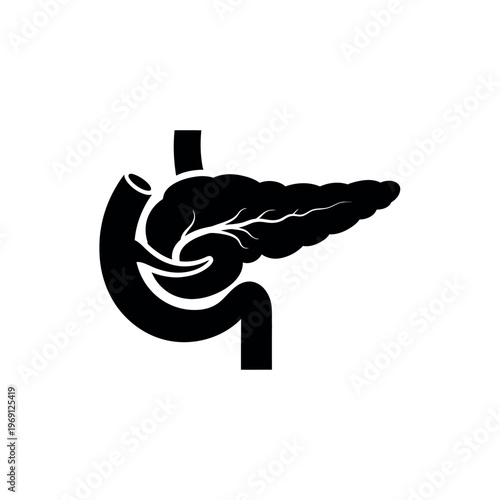 Human Pancreas and Duodenum Anatomy Illustration.