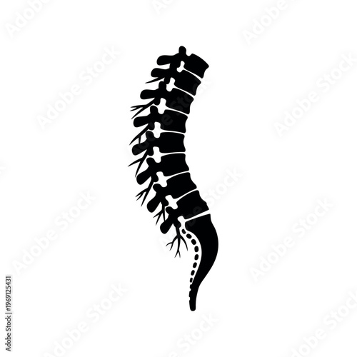 Human Spine Anatomy Silhouette Illustration 1.