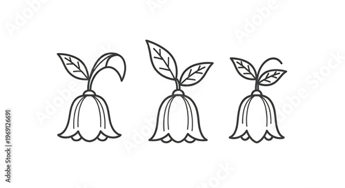 Three small sprouting plants with simple green leaves and stems emerging from soil