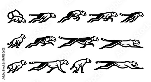 Black and white dog running sequence.