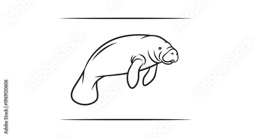 Elegant manatee line art illustration capturing peaceful marine mammal essence, perfect for