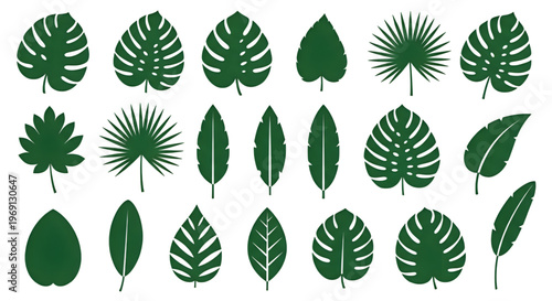 Assorted green leaves in various shapes and sizes displayed in a row