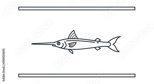 Clean vector outline of a marlin or swordfish swimming illustration on white background, perfect