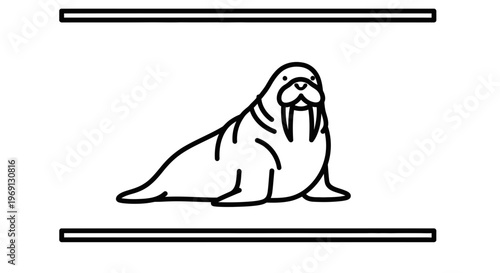 Minimalist black outline drawing of a walrus resting peacefully with two horizontal borders