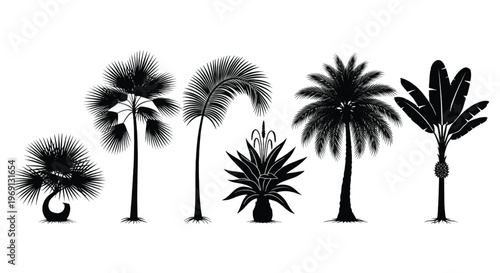 A stylized illustration of five palm trees with varying heights and leaf densities
