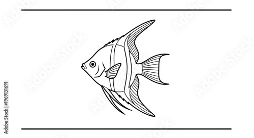 Elegant aquatic angelfish line art illustration captures serene underwater life