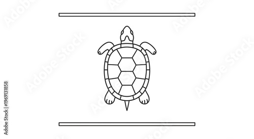 A stylized line art illustration of a serene sea turtle with a distinct hexagonal shell pattern