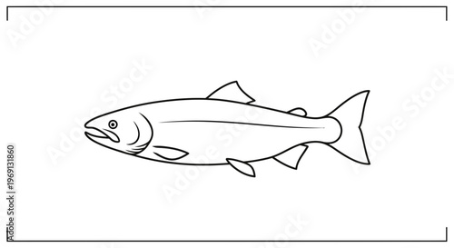 Minimalist monochrome line art illustration of a powerful freshwater fish swimming vector graphic