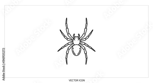 Minimalist linear depiction of an arachnid creature, ideal for various design projects and themes