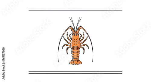 A colorful spiny lobster marine creature illustration centered on a clean white background artwork