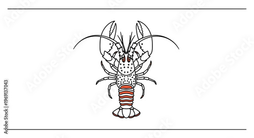 Vibrant minimal lobster line art illustration with a striking orange tail accent on white