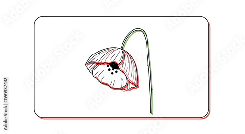 Contemporary line art depiction of a gracefully drooping bloom with subtle color accents and