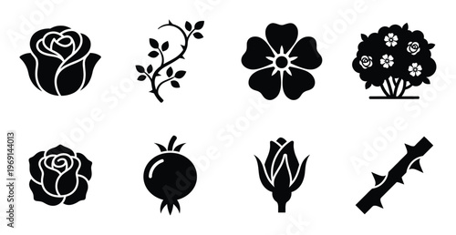 Rose flowers and parts icons isolated on transparent background vector