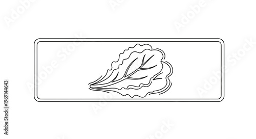 Minimalist line art illustration showcasing fresh green leafy vegetables in a clean rectangular