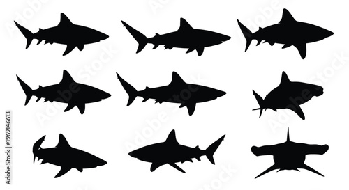 An assortment of stylized shark silhouettes, including hammerheads, as a clean vector graphic design element