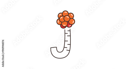 Vibrant clustered fruit icon atop a measurement-marked letter J on a clean white background