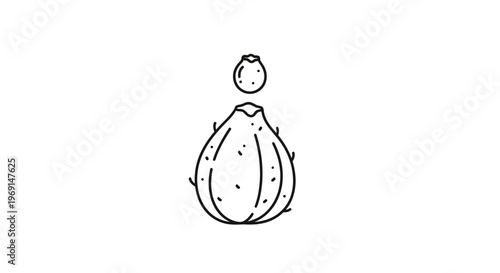 Minimalist black outline illustration of a unique succulent fruit or botanical bulb with a small