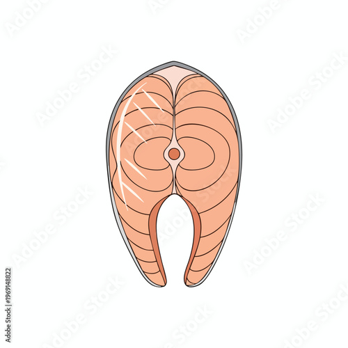 Stylized illustration of a raw salmon steak with visible flesh layers