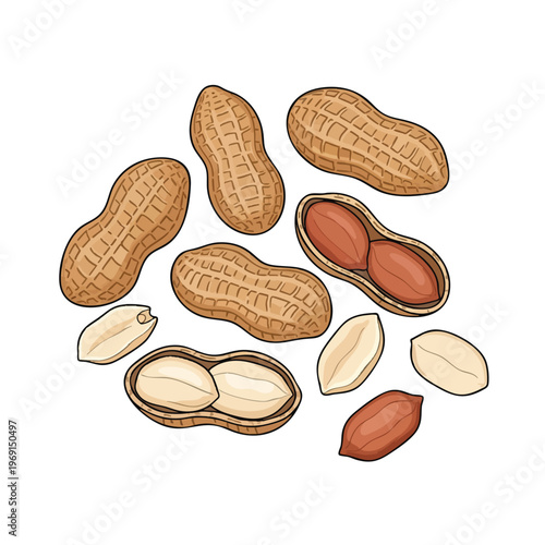 Scattered peanuts, some whole, some opened, with loose kernels on white background