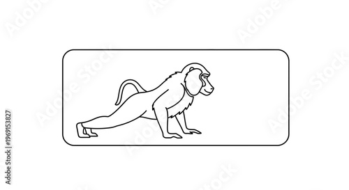 Baboon Doing Push-ups Exercise, Fitness, Animal Workout