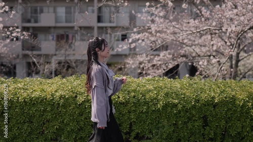 満開の桜の道を歩く若い女性のスローモーションフォローショット