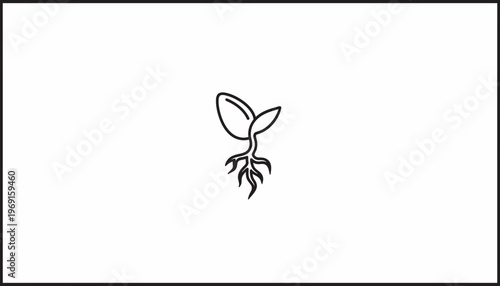 Sprouting Seedling with Roots Growing, Symbolizing New Life and Growth