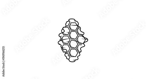 rustic outlined hexagonal cells forming a natural beehive structure with a sweet organic feel