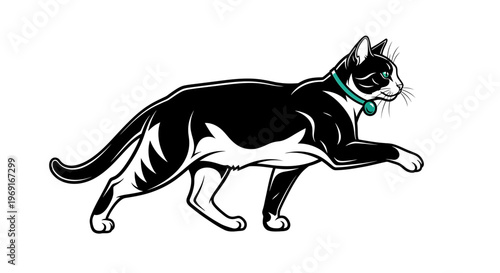 Walking Black and White Tuxedo Cat Illustration with Green Collar

