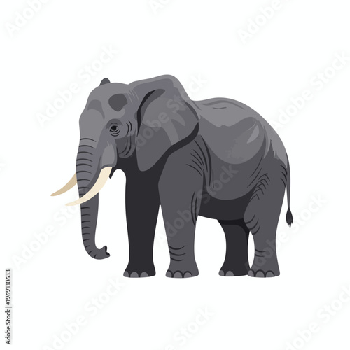 Large gray elephant with tusks, standing on a white background