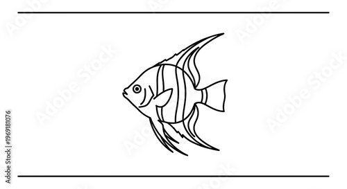 Stylized angelfish line art depicting elegant aquatic beauty and underwater life