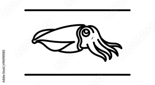 Minimalist black outline drawing of a marine cuttlefish swimming underwater between two lines
