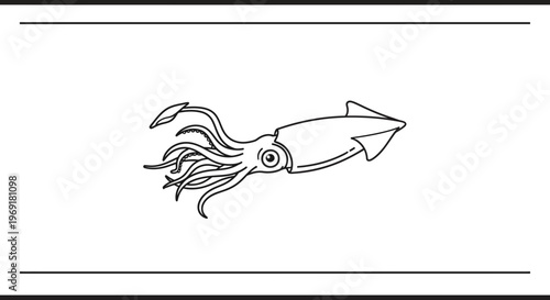 Minimalist line art illustration of a squid, a marine cephalopod creature swimming in the ocean