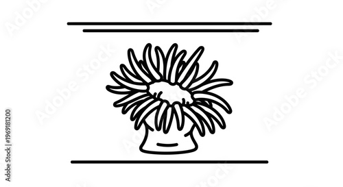 Stylized monochrome vector drawing of a fascinating ocean dwelling invertebrate organism