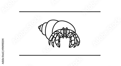Detailed outline illustration of a marine hermit crab animal residing within its protective spiral