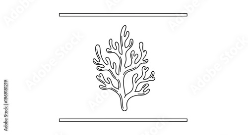 Simple Black Line Drawing of a Stylized Coral or Seaweed Plant with Organic Shapes Against a White