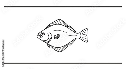 Elegant minimalist line art drawing of a marine flatfish, perfect for seafood branding and