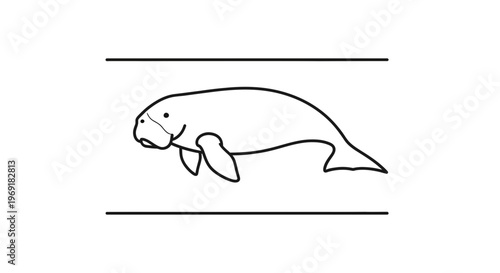 Minimalist line art illustration of a gentle manatee swimming peacefully in clear waters