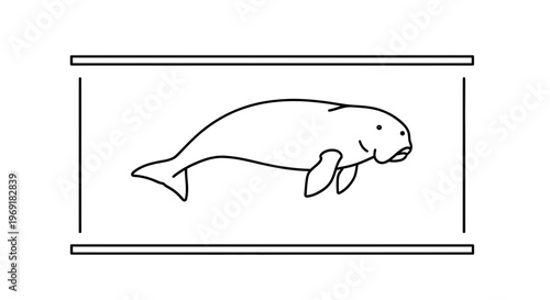 Minimalist line art illustration of an aquatic dugong swimming in a clean rectangular frame vector
